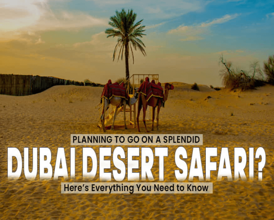 Desert Safari Dubai Tour-A thrilling activity for you